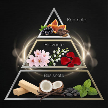 Alpha Noir Homme – Maskuliner Duft für Präsenz & Anziehung